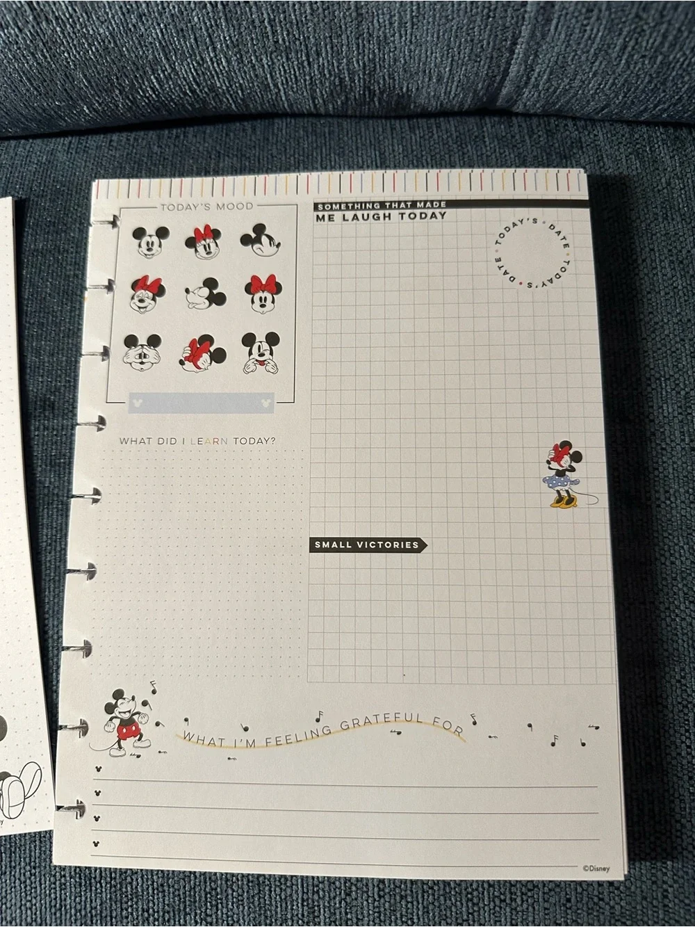 Disney Happy Planner happy planner